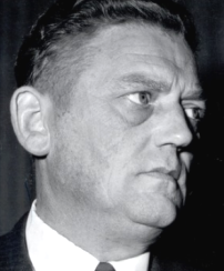 C.W. (Kees) van Wingerden