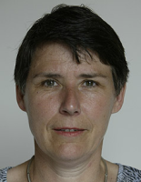 M. Westerveld