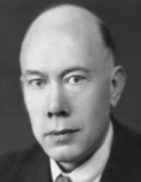 P.J. Witteman